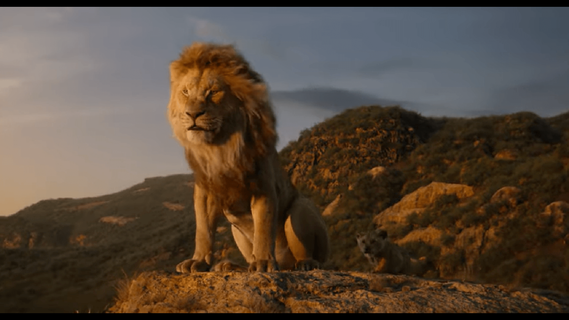 Watch The Lion King 2019 Movie Full Hd Download Sohaibxtreme Official